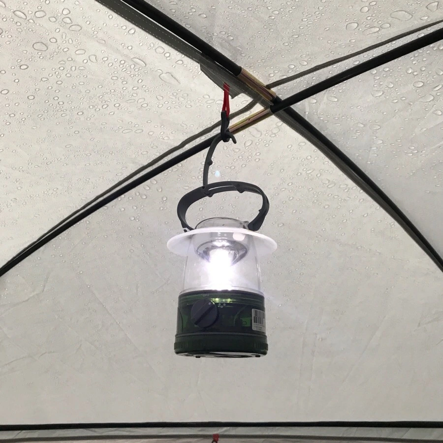 IMG_8832.jpg?type=w966