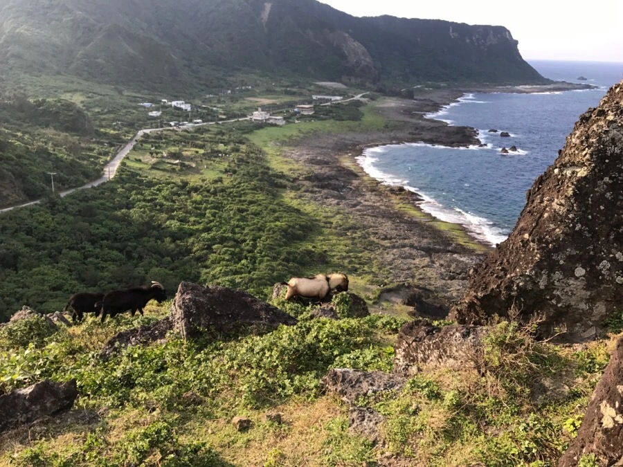 IMG_3778.jpg?type=w966