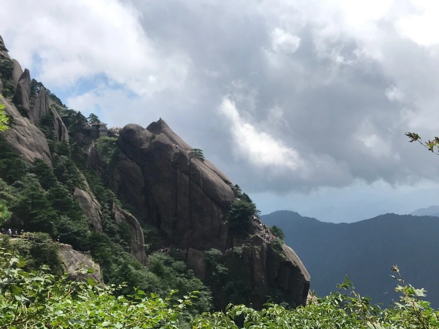 IMG_0835.jpg?type=w966