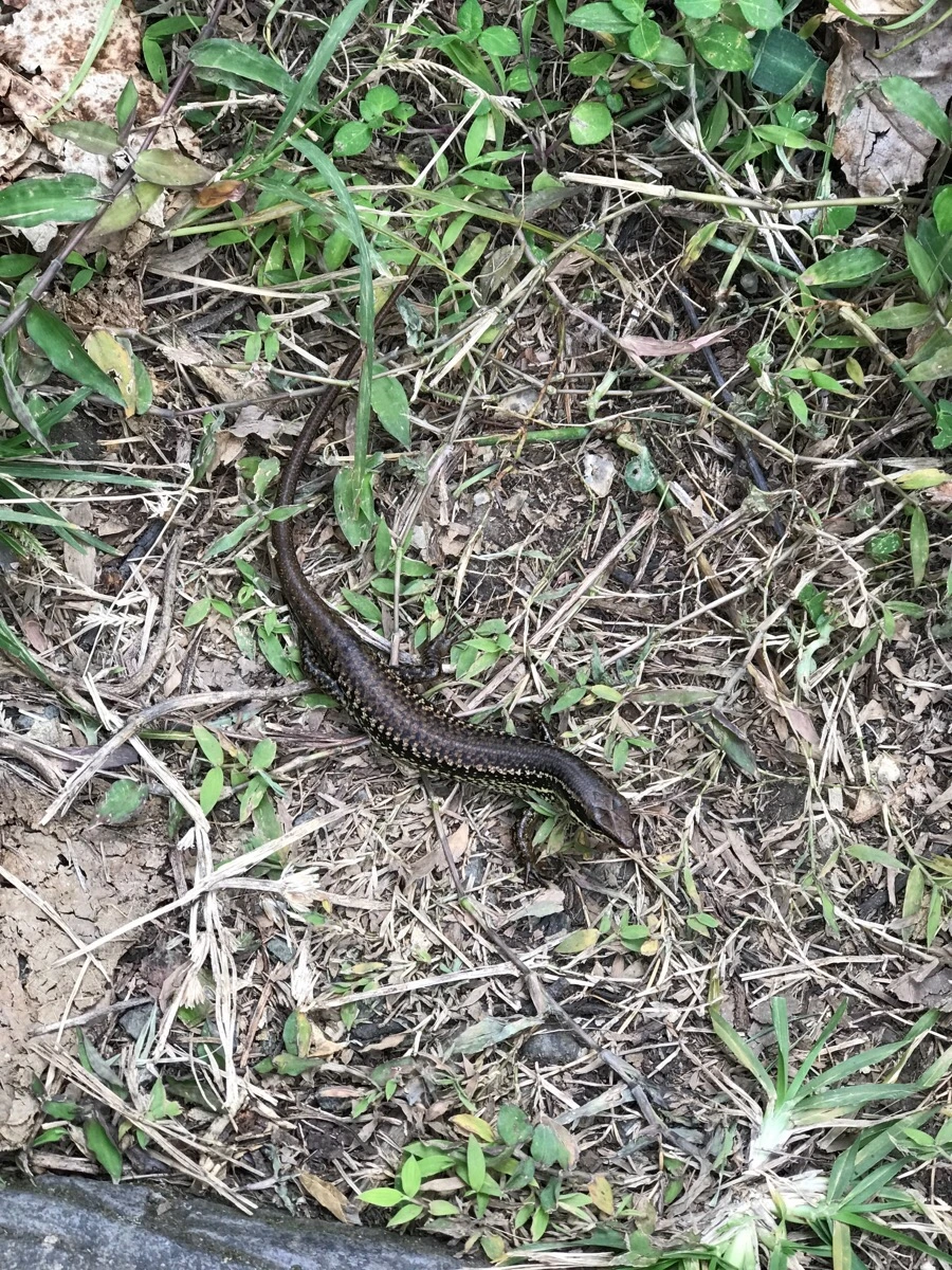 IMG_3777.jpg?type=w966