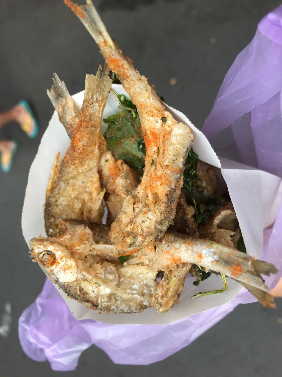 IMG_2971.jpg?type=w966