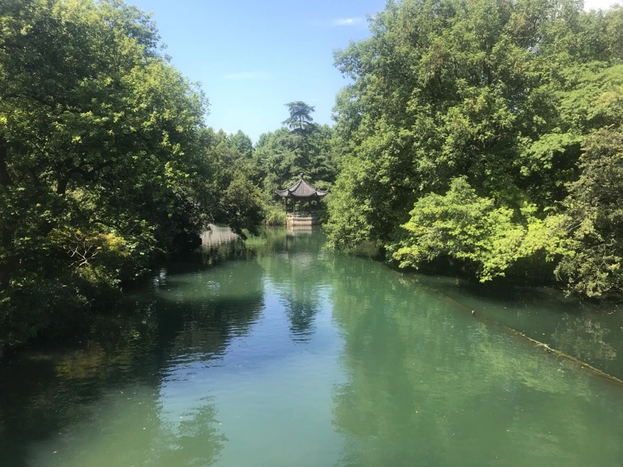 IMG_1211.jpg?type=w1