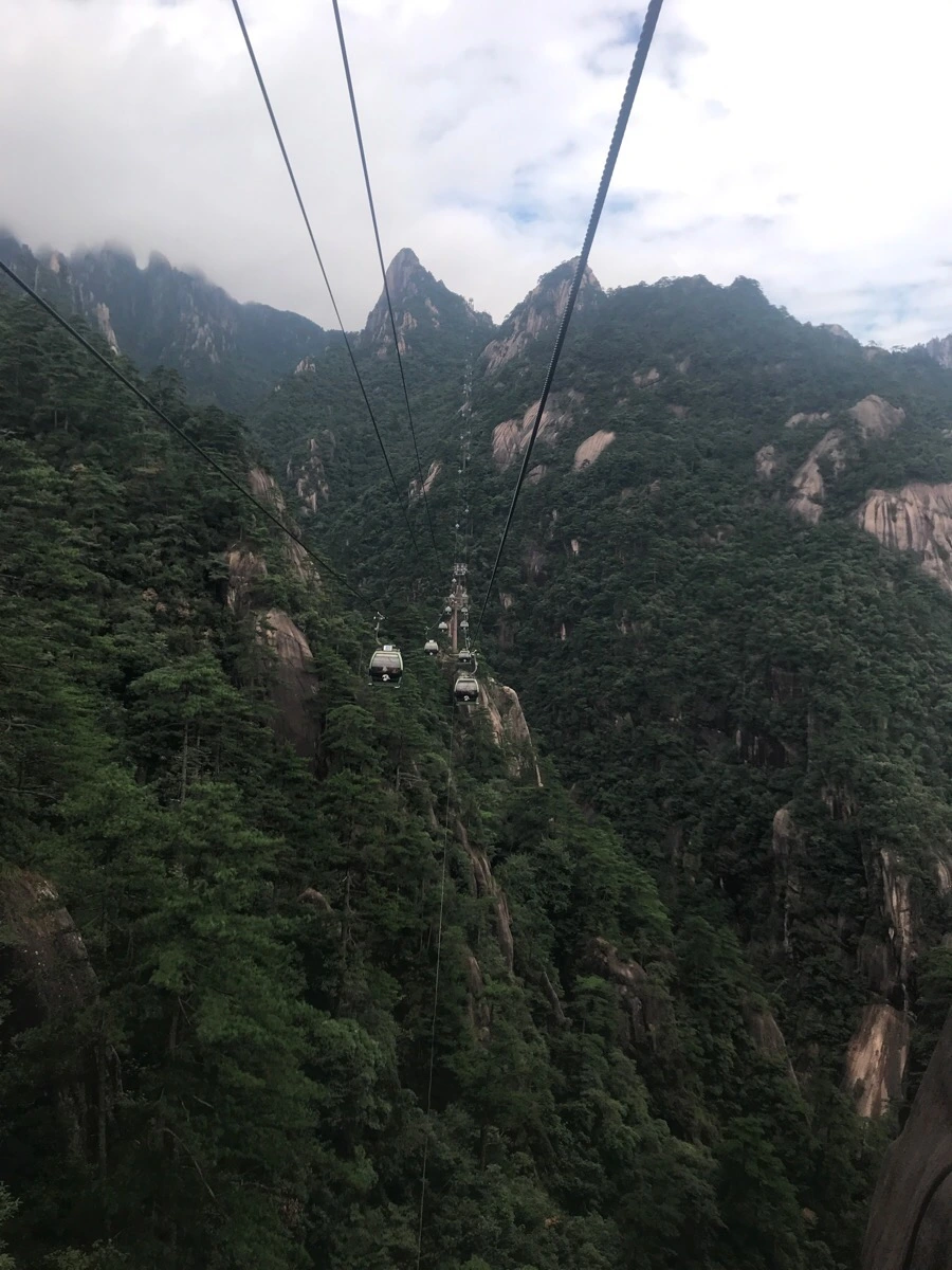 IMG_0699.jpg?type=w966