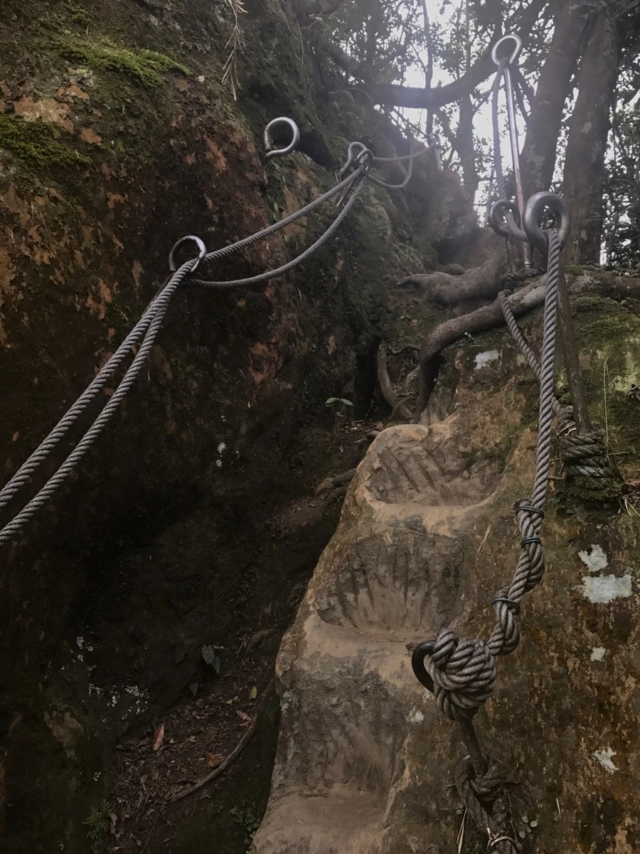 IMG_0983.jpg?type=w966