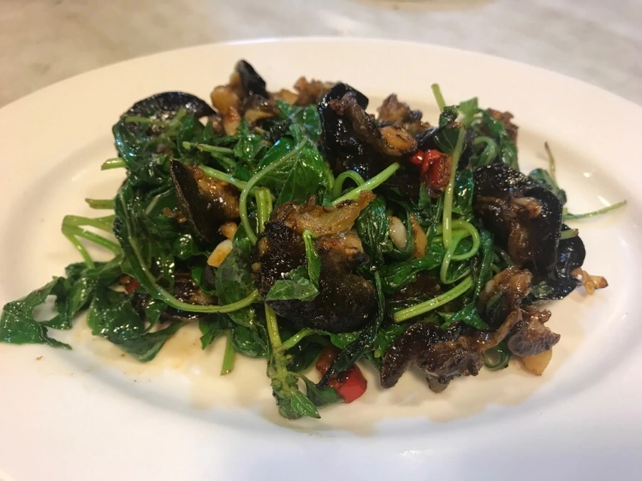 IMG_7869.jpg?type=w966