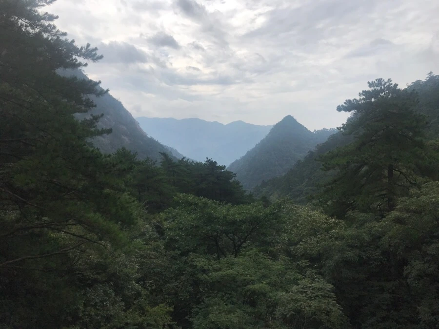 IMG_0685.jpg?type=w966