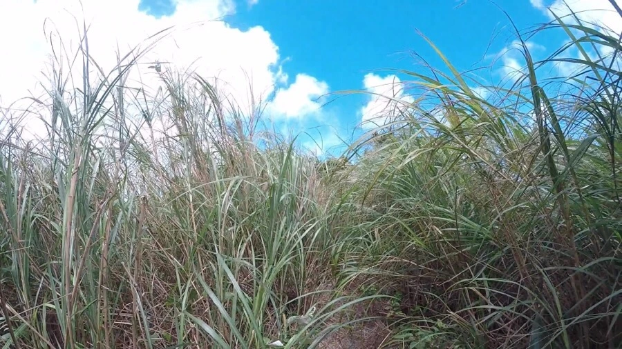 IMG_5267.JPG?type=w1