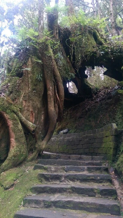 IMAG4956.jpg?type=w773