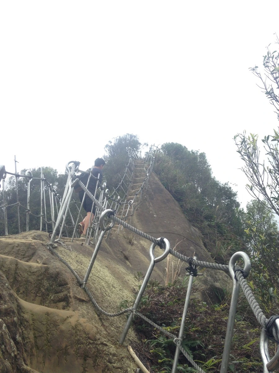 IMG_6981.jpg?type=w966