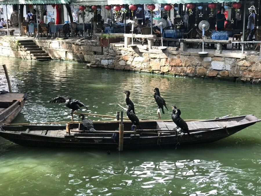 IMG_1464.jpg?type=w1