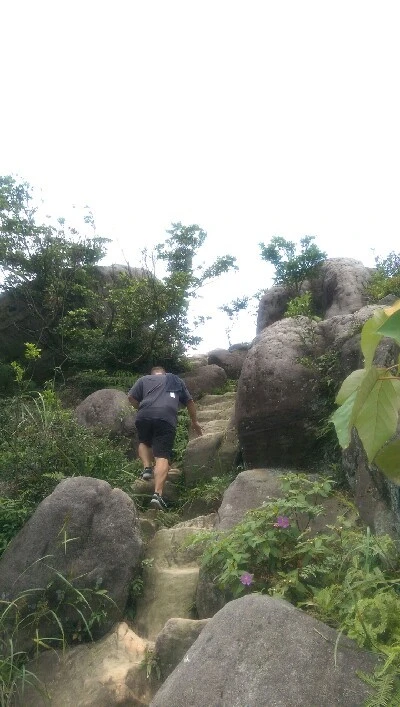 IMAG6093.jpg?type=w773