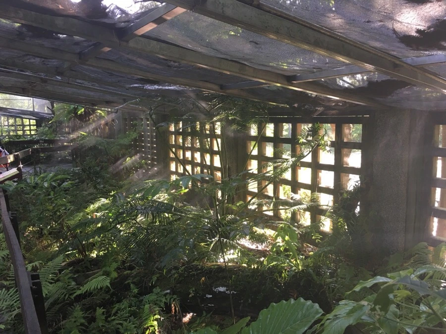 attachImage_1703628827.jpeg?type=w966