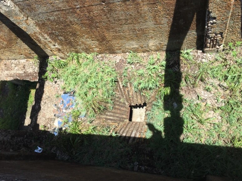 attachImage_3002826595.jpeg?type=w773