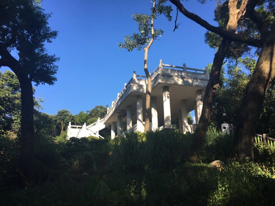 attachImage_2990676927.jpeg?type=w966