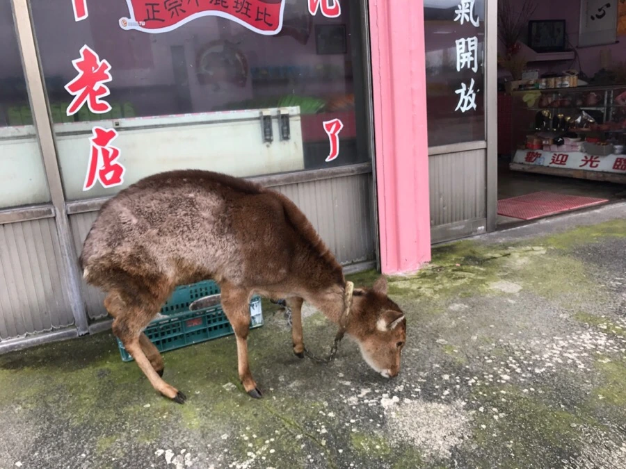 IMG_1752.jpg?type=w966