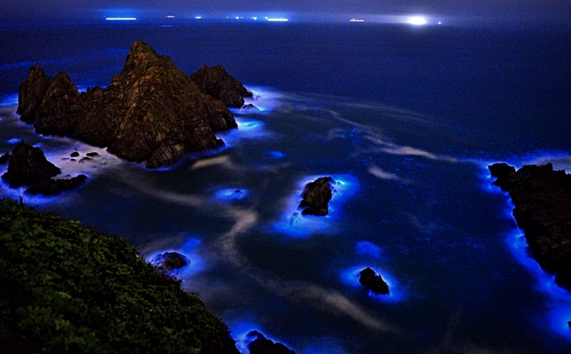 img_4221.jpg?type=w966