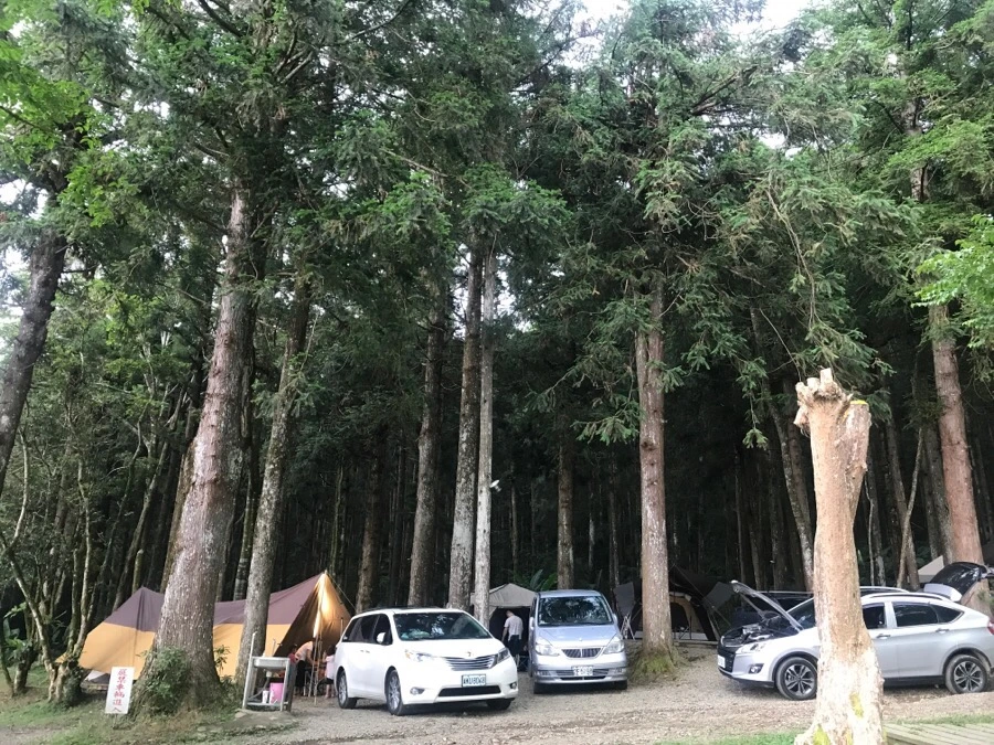 IMG_8821.jpg?type=w966