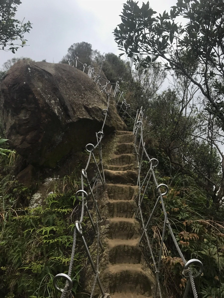 IMG_1065.jpg?type=w966