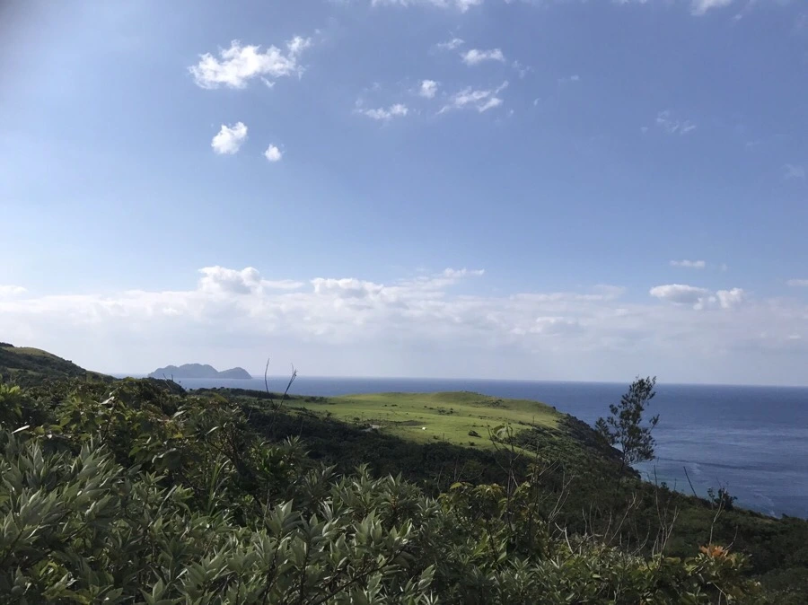 IMG_4064.jpg?type=w966