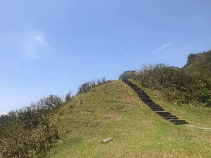 IMG_0130.jpg?type=w966