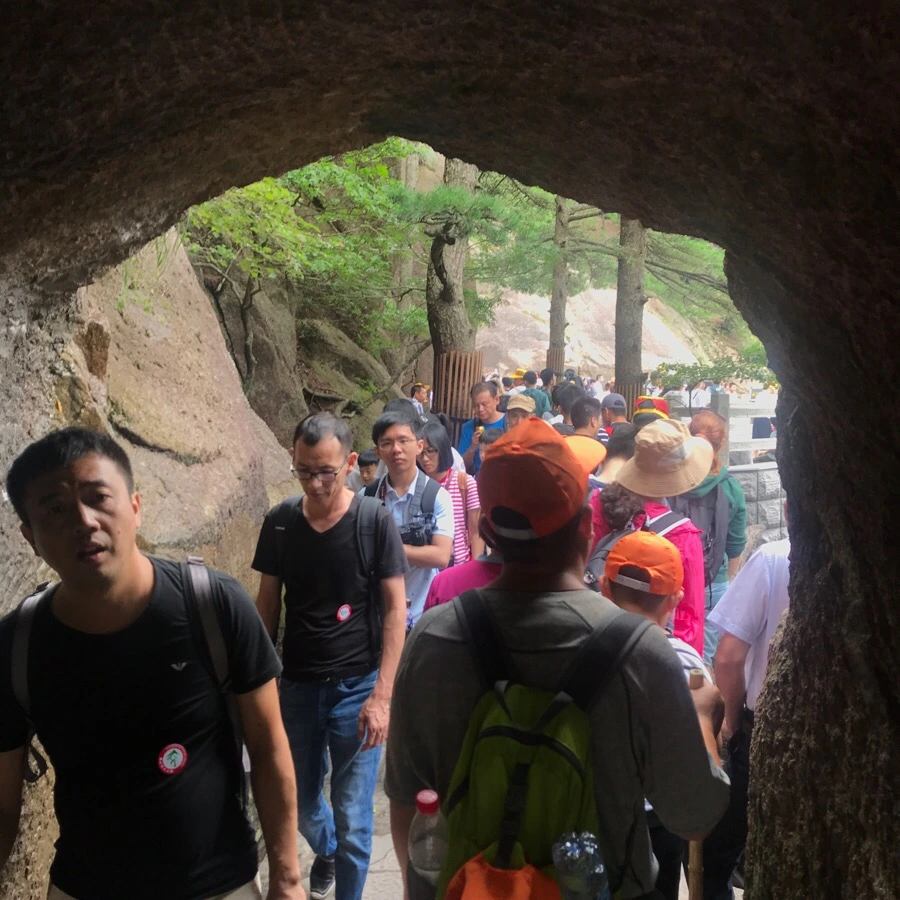 IMG_0876.jpg?type=w966