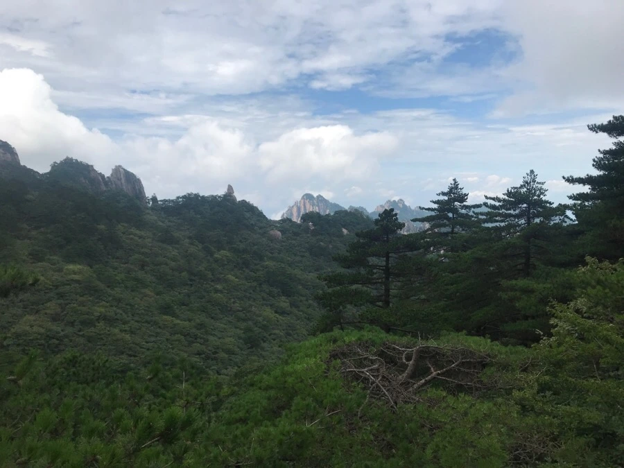 IMG_0748.jpg?type=w966