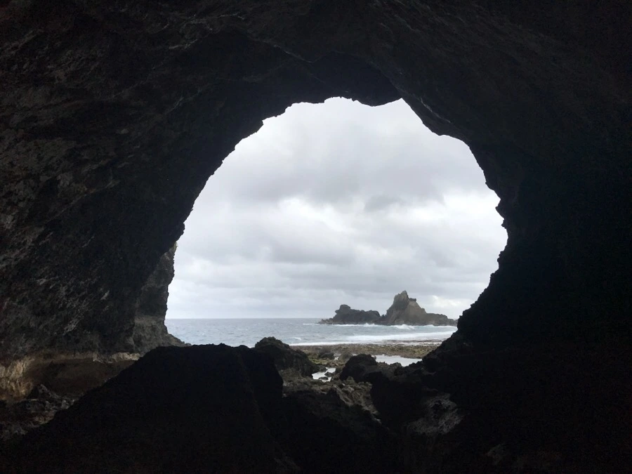 IMG_1620.jpg?type=w966