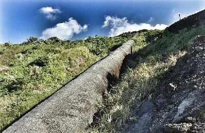 1466404673960.jpg?type=w773