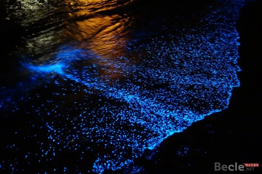 19b63d029d187a5916077c7c3187a014.jpg?type=w966