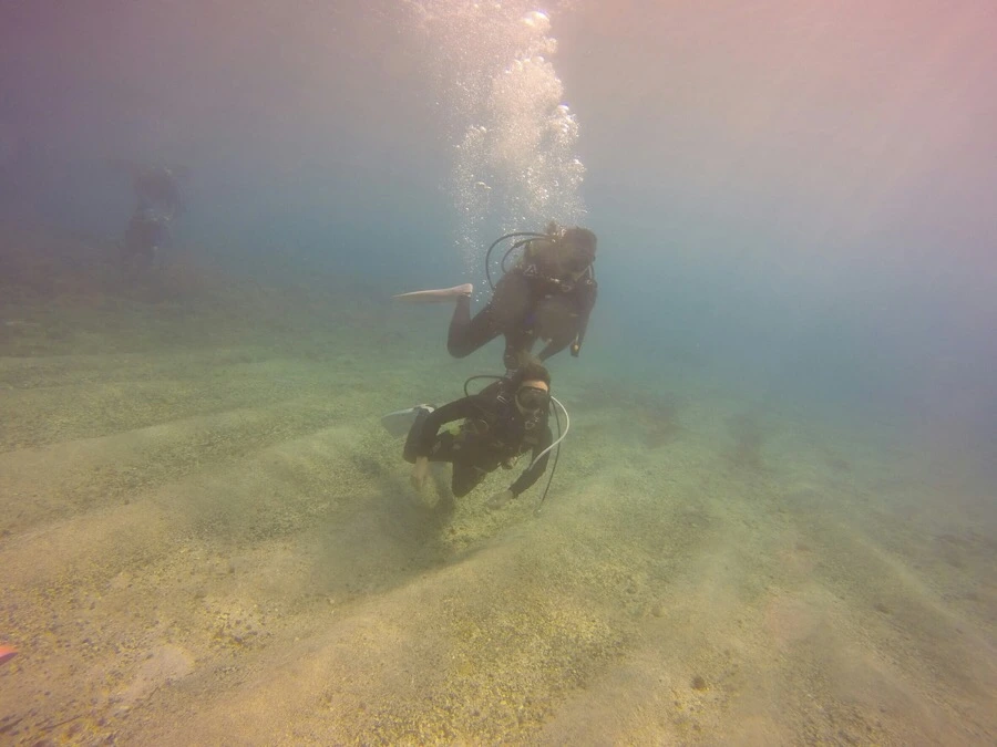 IMG_3609.jpg?type=w966