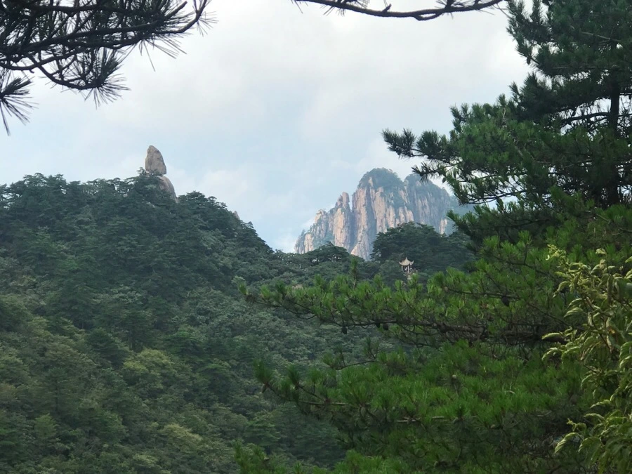 IMG_0750.jpg?type=w966