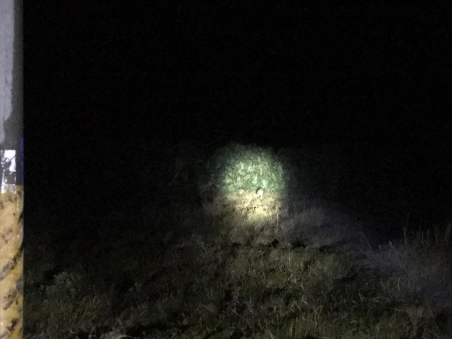 IMG_1443.jpg?type=w966