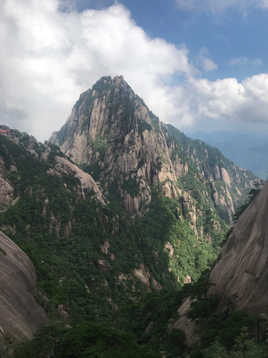 IMG_0879.jpg?type=w966