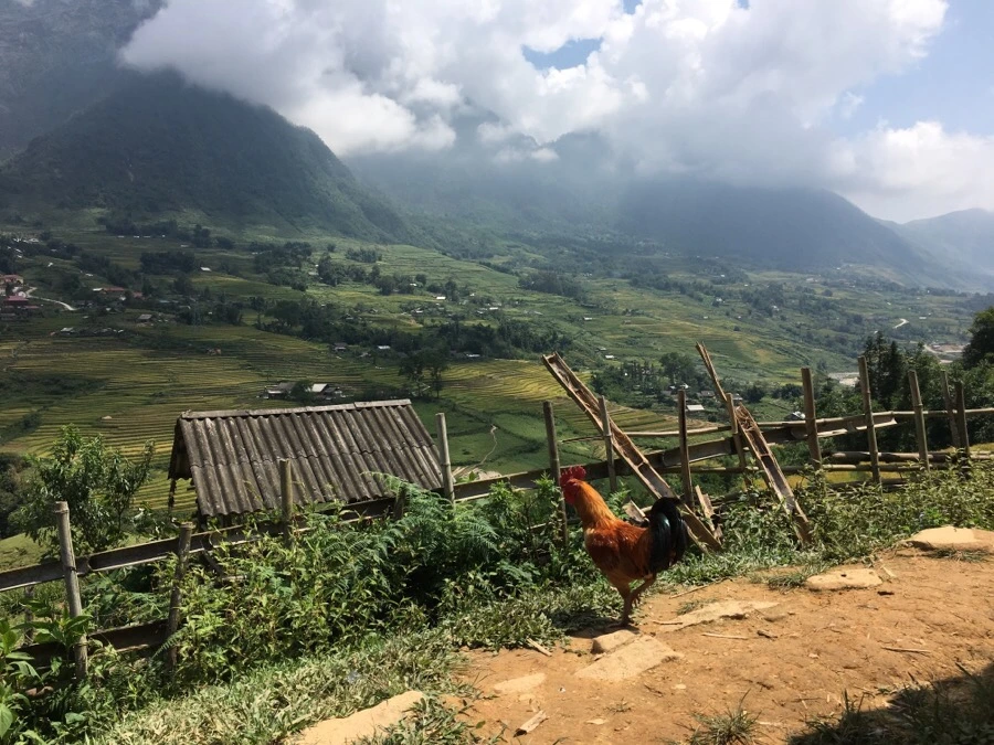 IMG_3561.JPG?type=w1