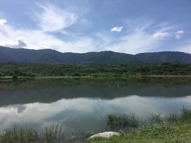 attachImage_4006889540.jpeg?type=w773