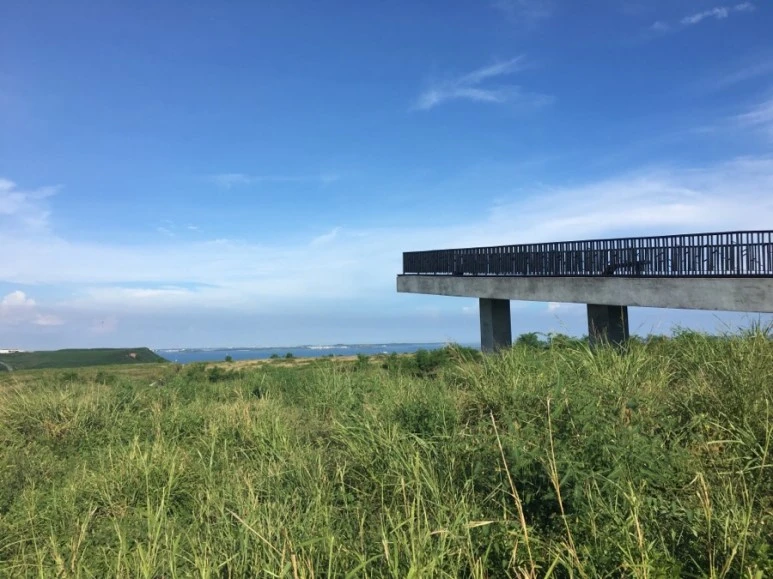 attachImage_3552120689.jpeg?type=w773