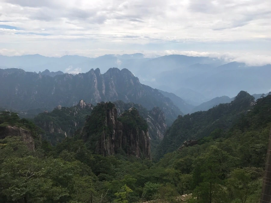 IMG_0711.jpg?type=w966