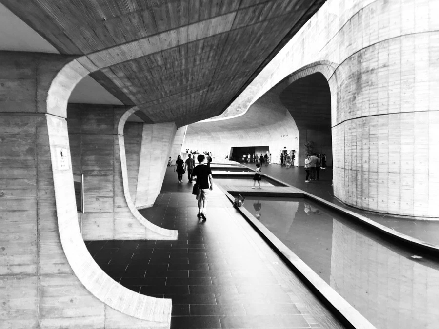 IMG_3094.jpg?type=w966