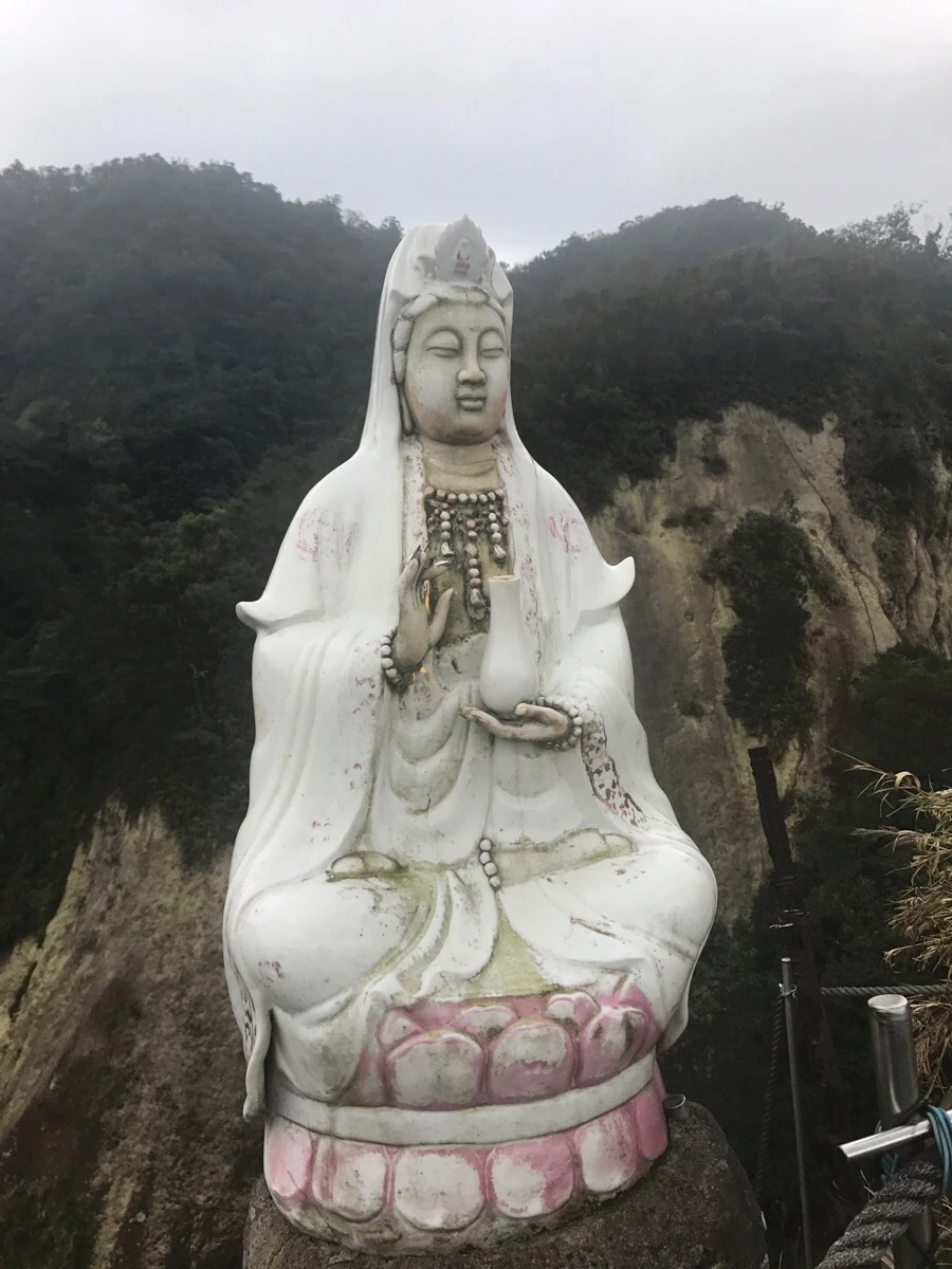 IMG_1003.jpg?type=w966