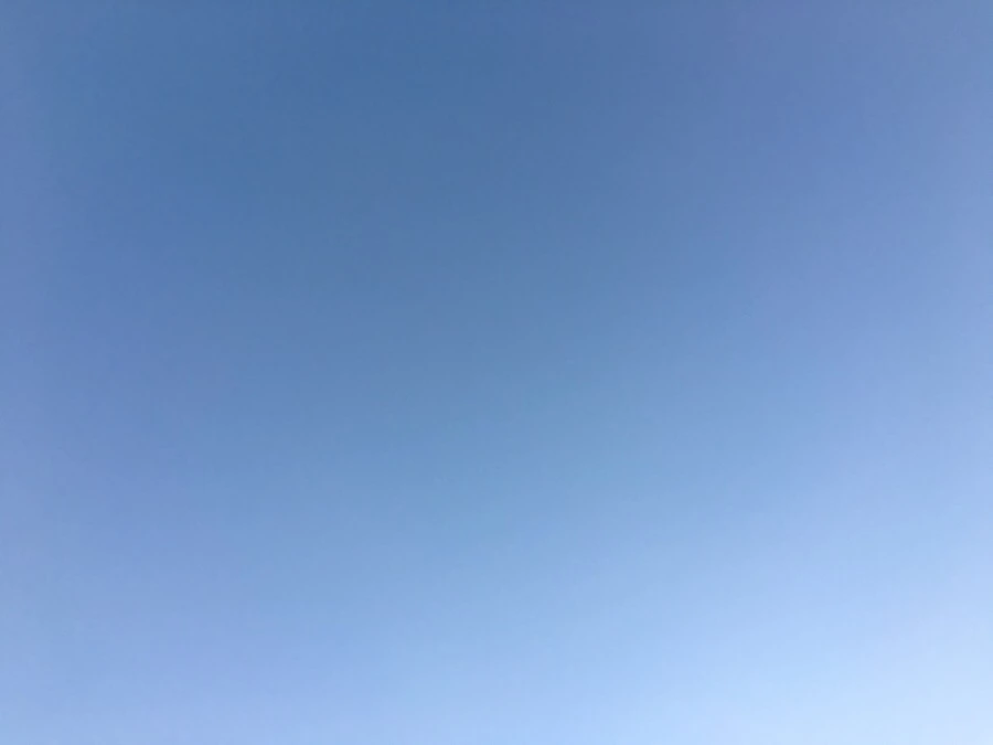 attachImage_3893458839.jpeg?type=w966