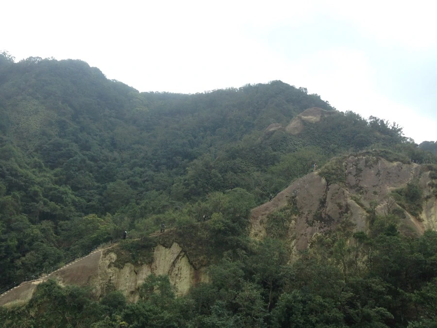 IMG_6982.jpg?type=w966