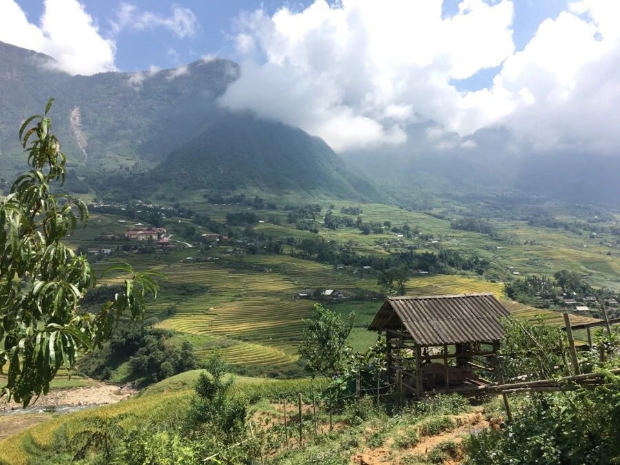 IMG_3560.JPG?type=w1