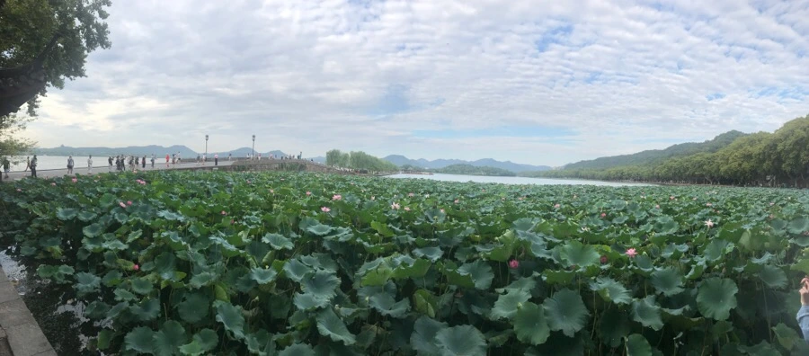 IMG_1066.jpg?type=w966