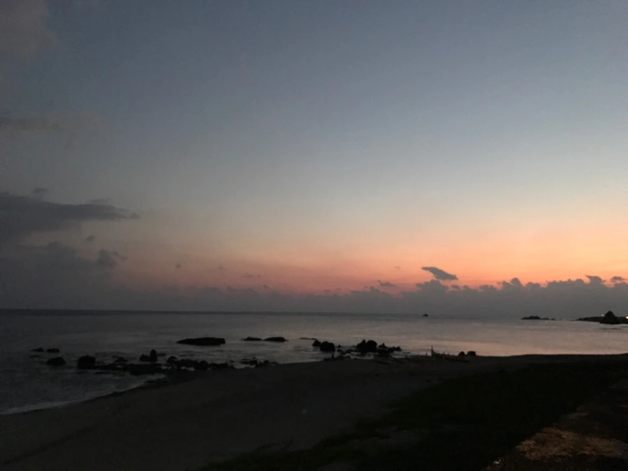 IMG_3802.jpg?type=w966