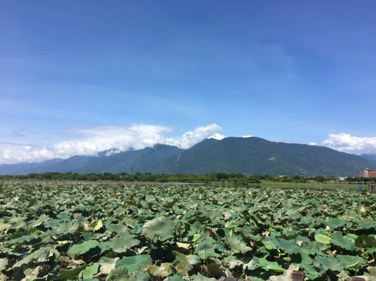 attachImage_1401690674.jpeg?type=w773