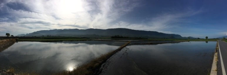 attachImage_2808274869.jpeg?type=w773