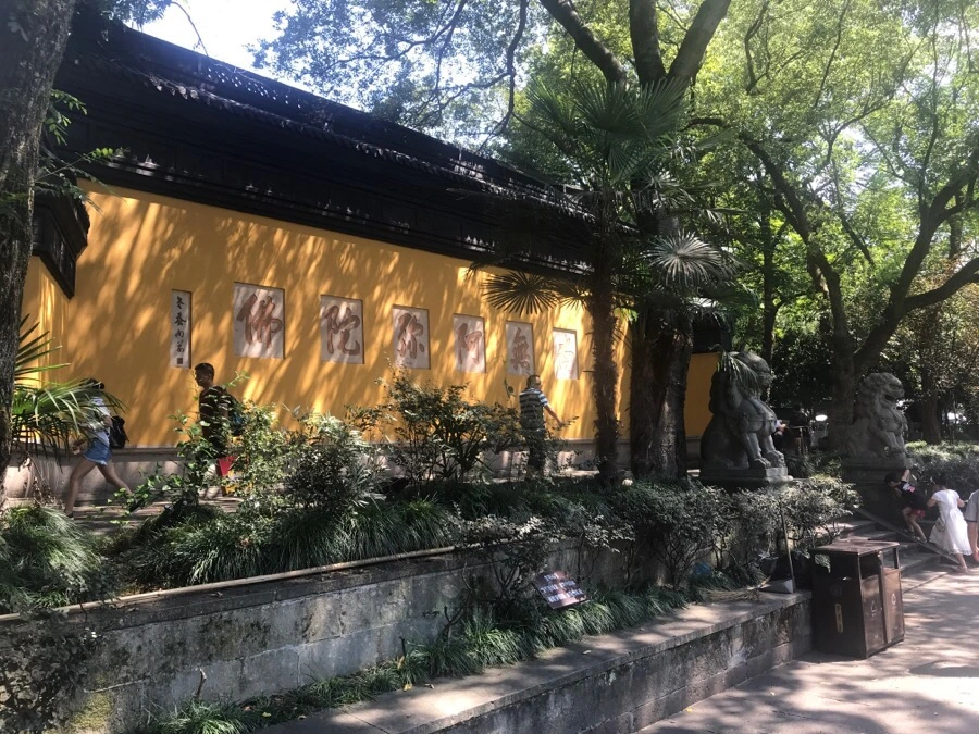 IMG_1214.jpg?type=w966