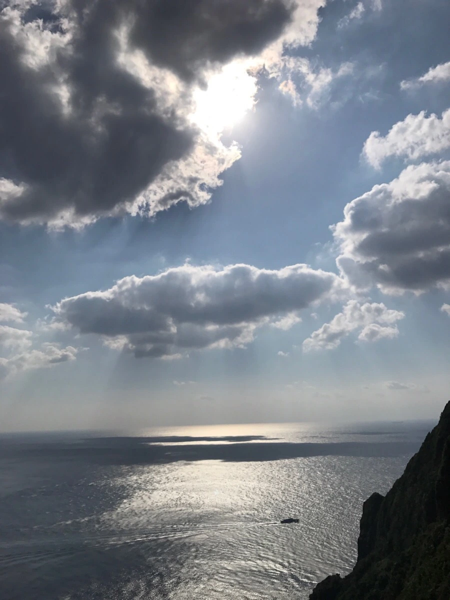 IMG_3751.jpg?type=w966