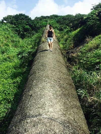 1466404588071.jpg?type=w773