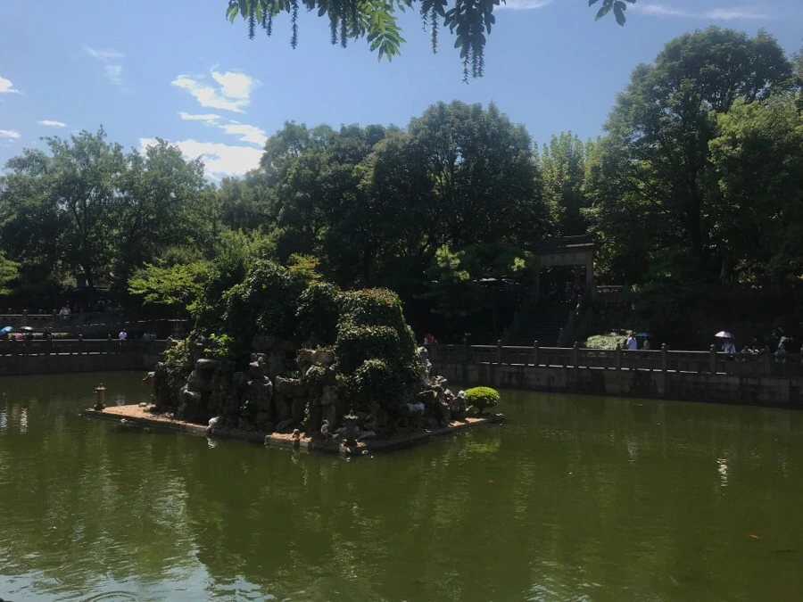 IMG_1213.jpg?type=w966